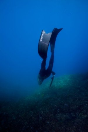 Samo Jeranko - Galerija