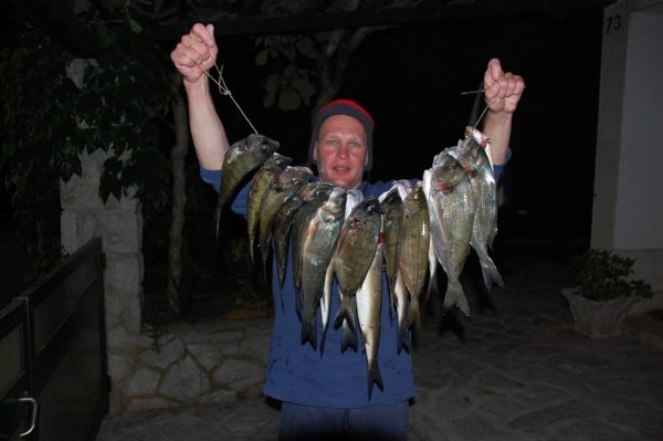 Mitja Vidovič - Galerija