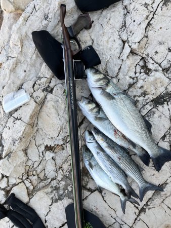 Ivo Babarović Jesen 2026