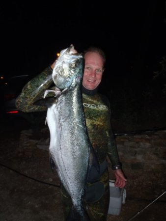 Mitja Vidovič - Galerija