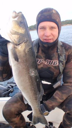 Mitja Vidovič - Galerija