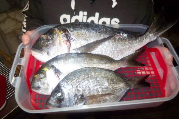 Mitja Vidovič - Galerija