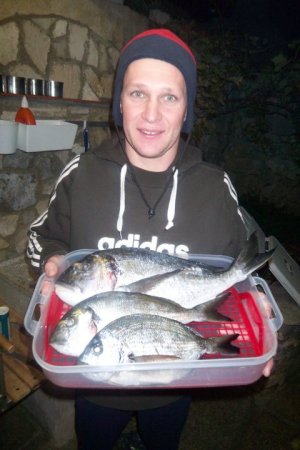 Mitja Vidovič - Galerija