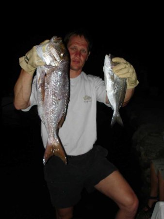 Mitja Vidovič - Galerija