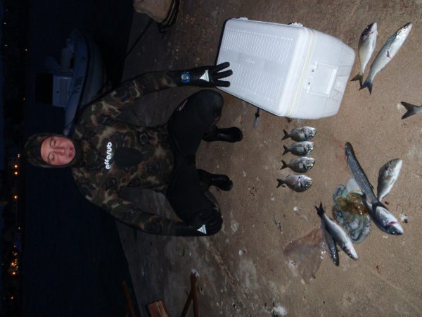 Mitja Vidovič - Galerija