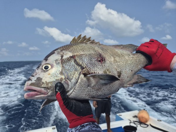 Andrej Jurak Maldivi