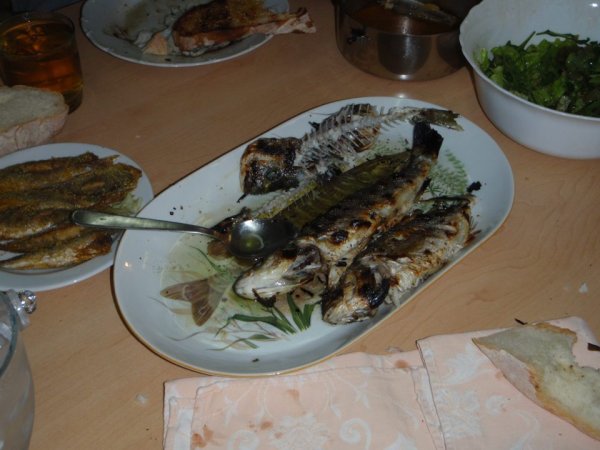 Mitja Vidovič - Galerija