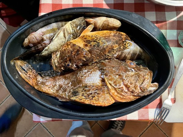 Ivo Babarović Jesen 2026