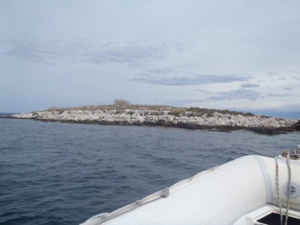 Mitja Vidovič - Galerija