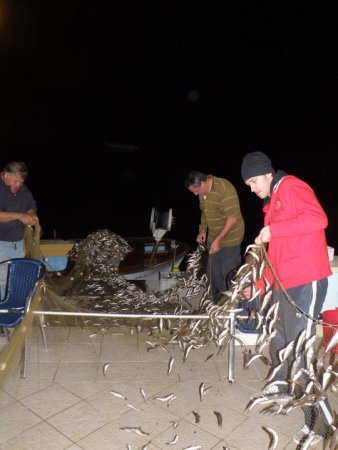 Mitja Vidovič - Galerija