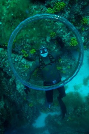 Samo Jeranko - Galerija