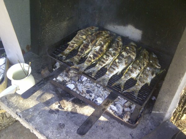 Robert Renninger - Galerija