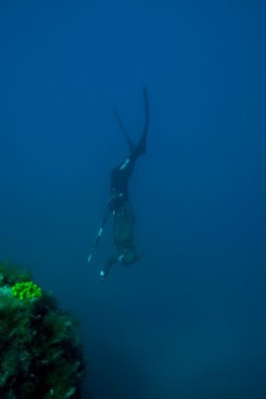 Samo Jeranko - Galerija