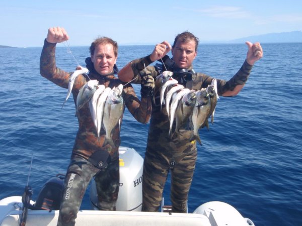 Mitja Vidovič - Galerija