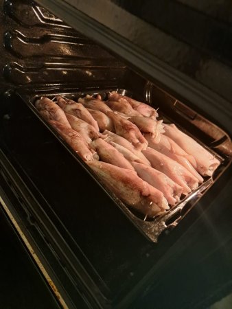 Jesenska Tjulnjiada 2025