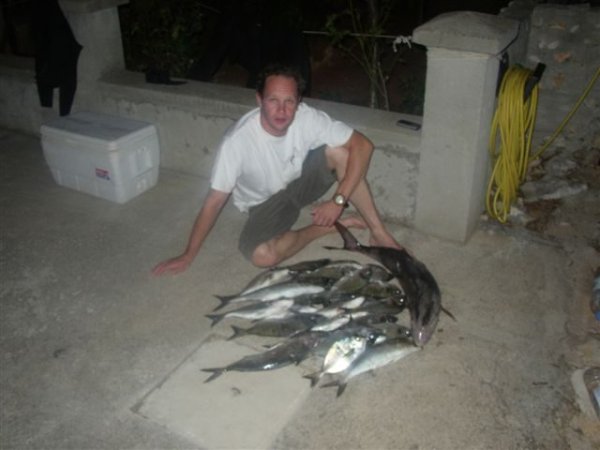 Mitja Vidovič - Galerija