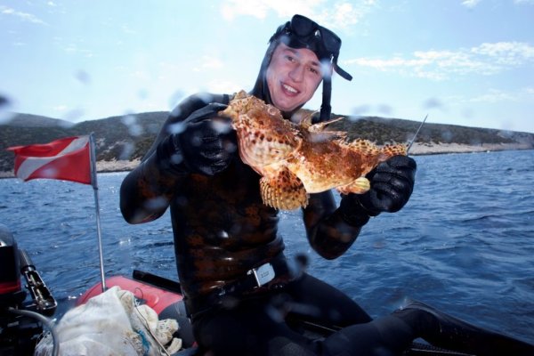 Samo Jeranko - Galerija