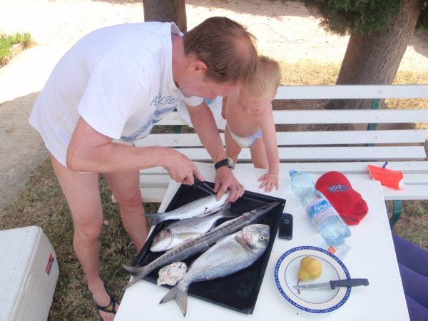 Mitja Vidovič - Galerija