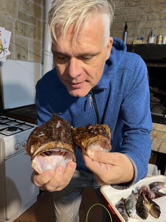 Ivo Babarović Jesen 2026