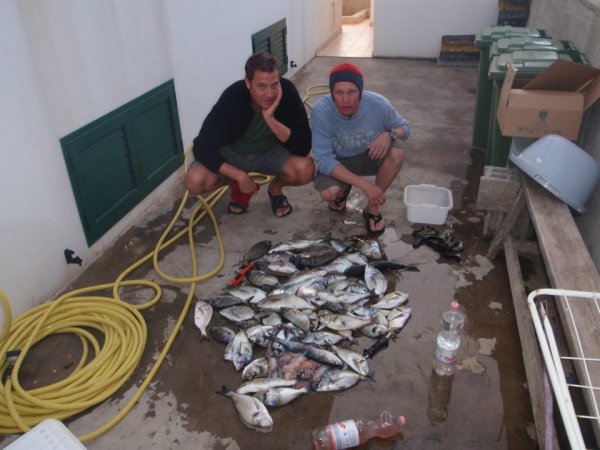 Mitja Vidovič - Galerija