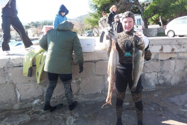 Mitja Vidovič - Galerija