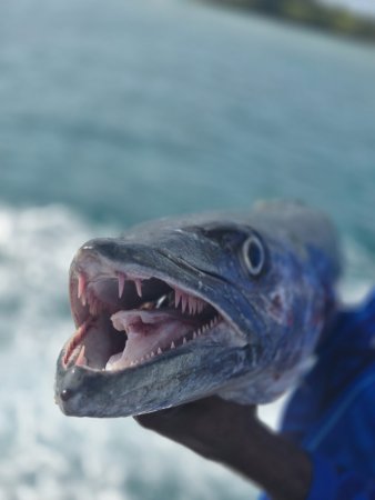 Andrej Jurak Maldivi