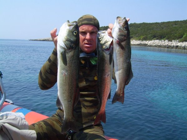 Robert Renninger - Galerija