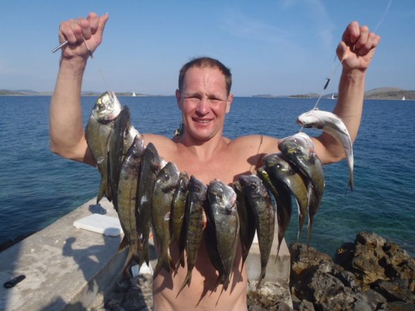 Mitja Vidovič - Galerija