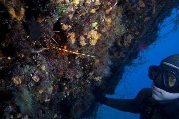 Samo Jeranko - Galerija