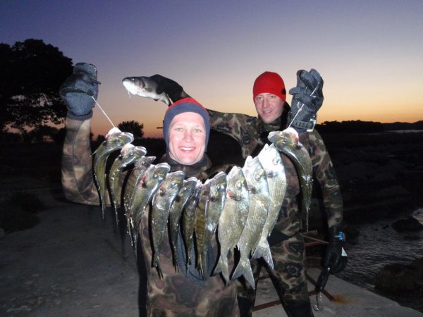 Mitja Vidovič - Galerija