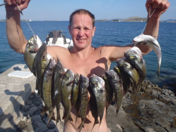 Mitja Vidovič - Galerija