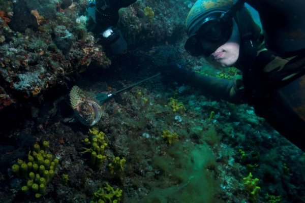 Samo Jeranko - Galerija