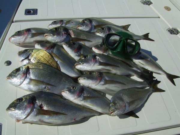 Robert Renninger - Galerija