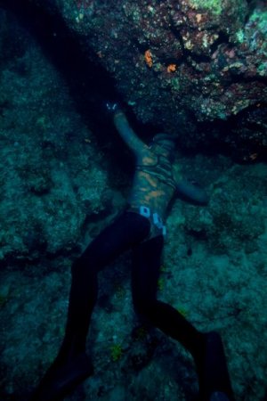 Samo Jeranko - Galerija