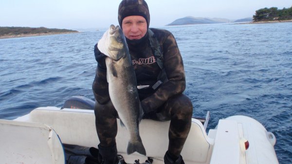 Mitja Vidovič - Galerija