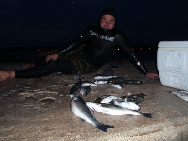 Mitja Vidovič - Galerija