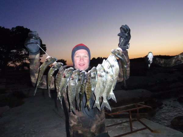 Mitja Vidovič - Galerija