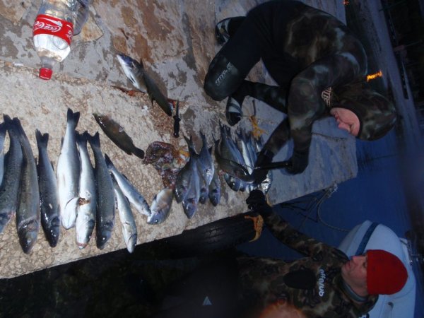 Mitja Vidovič - Galerija