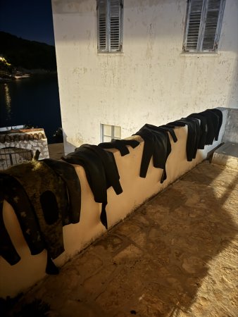 Jesenska Tjulnjiada 2025