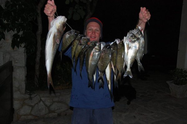 Mitja Vidovič - Galerija