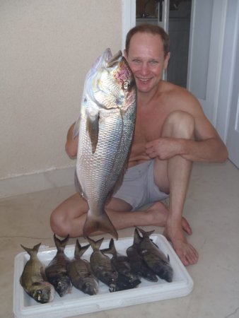 Mitja Vidovič - Galerija