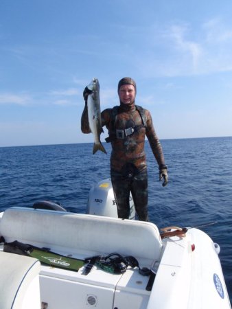 Mitja Vidovič - Galerija