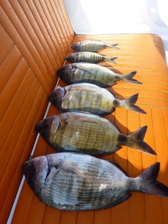 Robert Renninger - Galerija