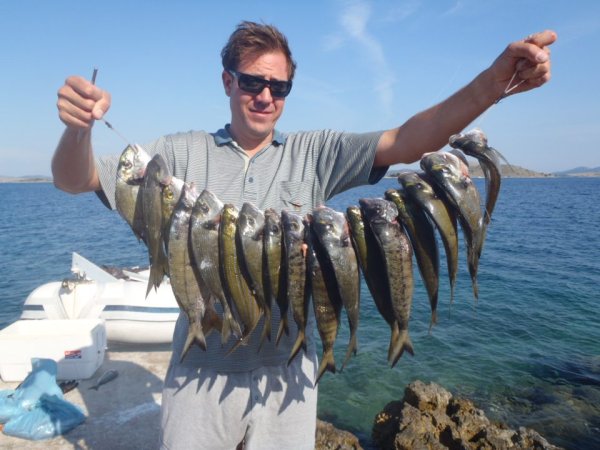 Mitja Vidovič - Galerija