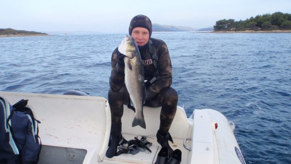 Mitja Vidovič - Galerija