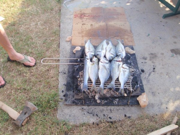 Mitja Vidovič - Galerija