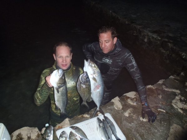 Mitja Vidovič - Galerija