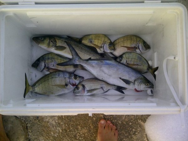 Robert Renninger - Galerija