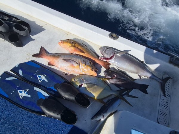 Andrej Jurak Maldivi