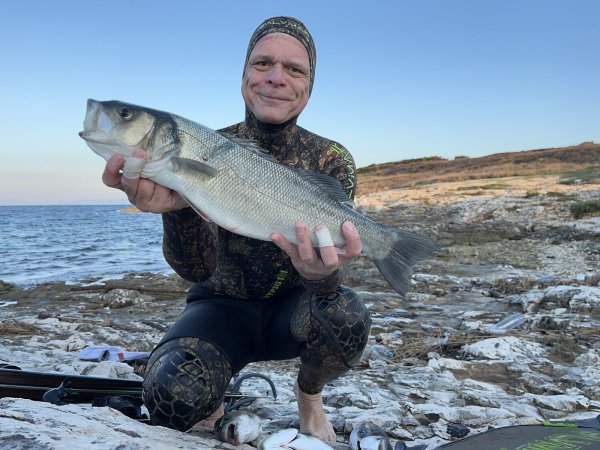 Ivo Babarović Jesen 2026